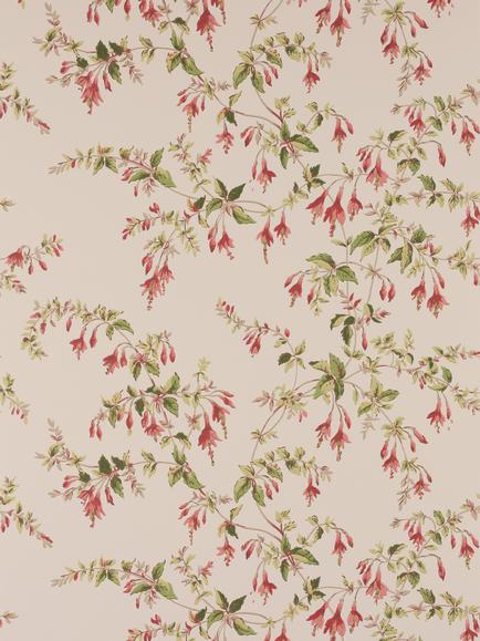Colefax and Fowler Fuchsia Wallpaper, Tomato/Green