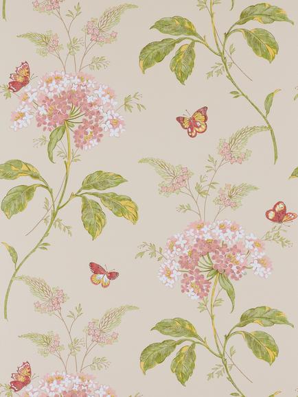 Colefax and Fowler Messina Wallpaper, Pink/Green