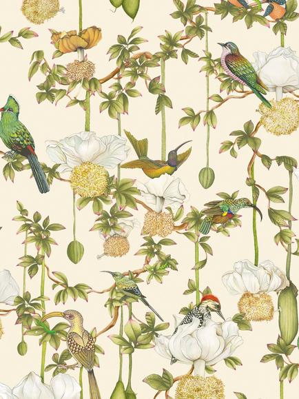Cole & Son Baobab Botanica Wallpaper, Stone