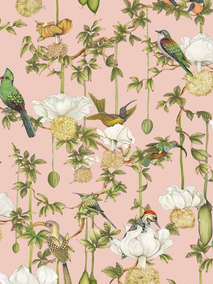 Cole & Son Baobab Botanica Wallpaper, Blush