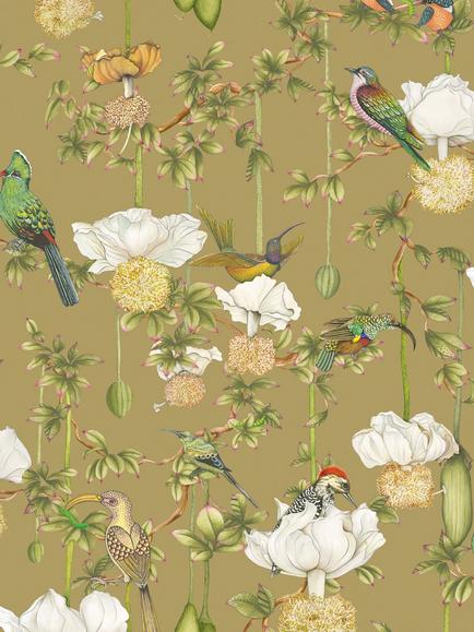 Cole & Son Baobab Botanica Wallpaper, Safari