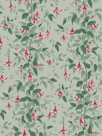 Cole & Son Fuchsia Wallpaper, Rose/ Sage/ Laurel, Rose/ Sage/ Laurel