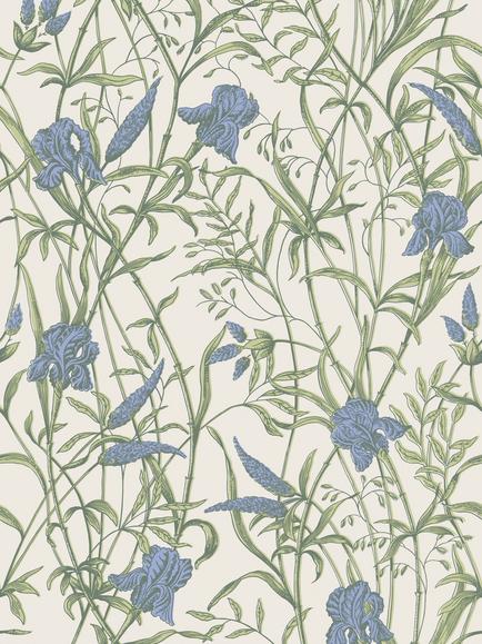 Cole & Son Iris Wallpaper, Iris Blue On Stone