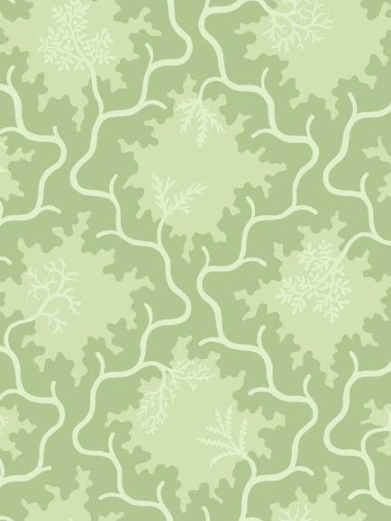 Cole & Son Moss Trellis Wallpaper, Matcha/ Pistachio
