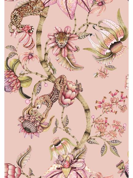 Cole & Son Protea Panthera Wallpaper, Rose Quartz