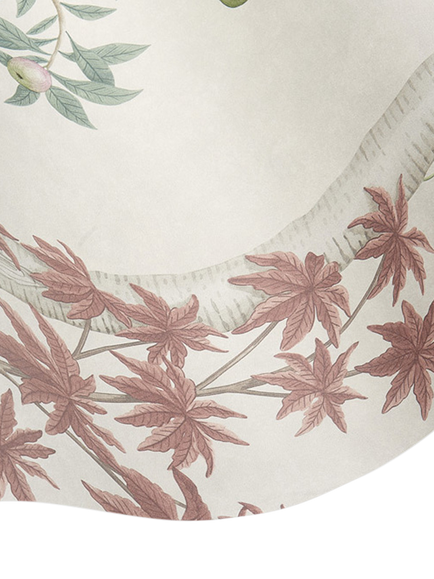 Cole & Son Seasonal Woods Wallpaper - view 2, Clear Skies