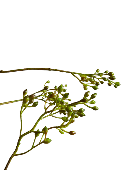 West Elm Rosehip Artificial Branch, Green - view 2, Green