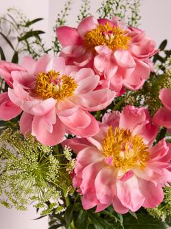 John Lewis Coral Peonies Hand Tied Bouquet - view 2, Blue Royal
