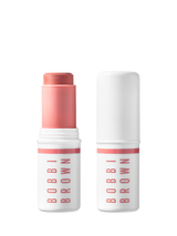 Bobbi Brown Skin Enchancer Multi-Stick