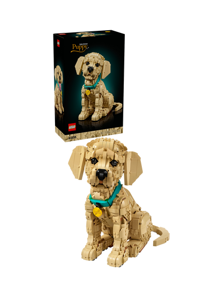 LEGO Icons 11384 Golden Retriever Puppy, Multi