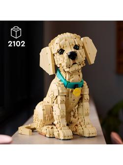 LEGO Icons 11384 Golden Retriever Puppy - view 2, Multi