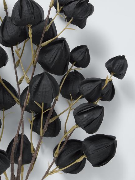 John Lewis Chinese Lantern Stems Decoration, Black - view 2, Black