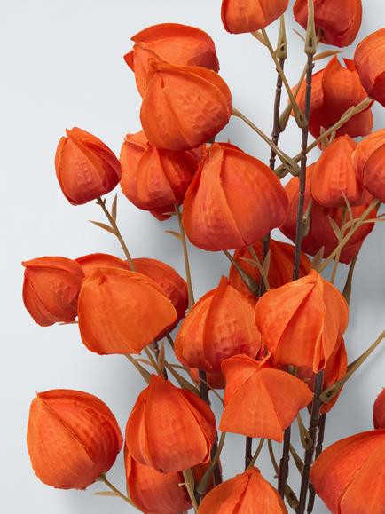 John Lewis Chinese Lantern Stem, Pack of 2, Orange - view 2, Orange