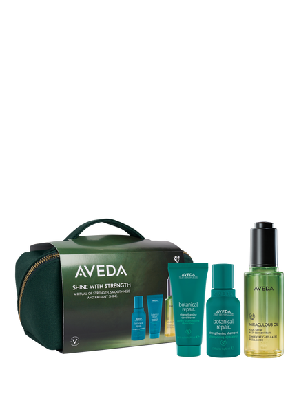 Aveda Shine with Strength Haircare Gift Set, 