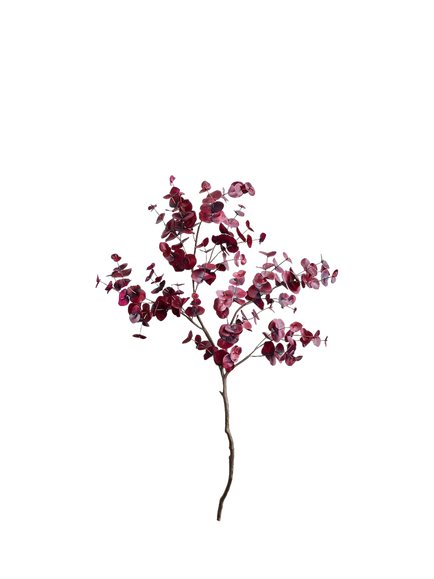 Pottery Barn Eucalyptus Branch, Burgundy, L153cm, Burgundy
