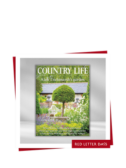 Red Letter Days 3 Month Country Life Magazine Subscription Gift Experience, Multi