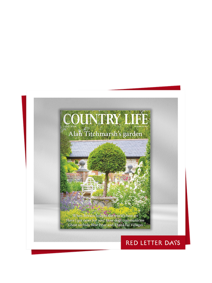 Red Letter Days 3 Month Country Life Magazine Subscription Gift Experience, Multi