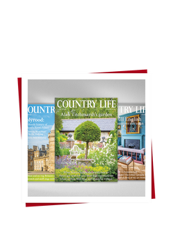 Red Letter Days 3 Month Country Life Magazine Subscription Gift Experience - view 2, Multi