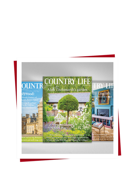 Red Letter Days 3 Month Country Life Magazine Subscription Gift Experience - view 2, Multi