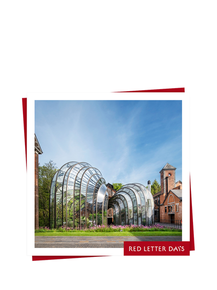 Red Letter Days Bombay Sapphire Masterclass for 2 Gift Experience, Multi