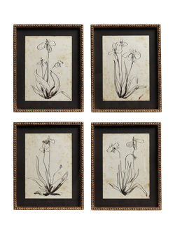 OKA Narin Iris Framed Prints, Set of 4, 50 x 40cm, Multi, Multi
