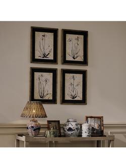 OKA Narin Iris Framed Prints, Set of 4, 50 x 40cm, Multi - view 2, Multi