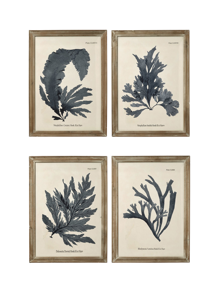 OKA Seaweed Framed Prints, Set of 4, 83 x 61cm, Multi, Multi