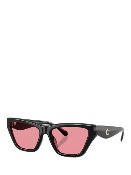 Coach HC8449 Women's Cat Eye Sunglasses, Black/Pink, Black/Pink