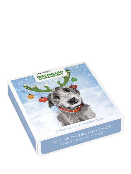 Museums & Galleries Christmas Companions Charity Christmas Cards, Pack of 20, Multi