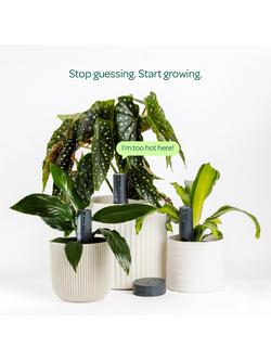Willow Smart Indoor Plant Sensor, Plant Parent Pack with 3 Sensors & 1 Wi-Fi Hub, Charcoal - view 2, Charcoal