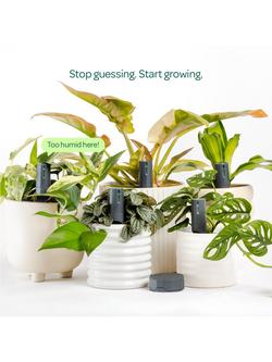 Willow Smart Indoor Plant Sensor, Urban Jungle Pack with 5 Sensors & 1 Wi-Fi Hub, Charcoal - view 2, Charcoal