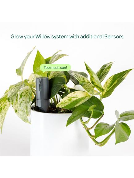 Willow Smart Indoor Plant Sensor (No Hub Included), Charcoal - view 2, Charcoal