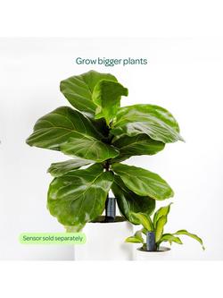 Willow Large Pot Extension for Smart Indoor Plant Sensor (Sensor not included), Charcoal - view 2, Charcoal