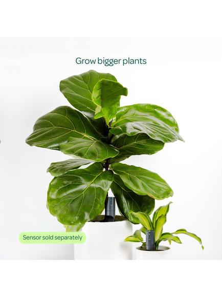 Willow Large Pot Extension for Smart Indoor Plant Sensor (Sensor not included), Charcoal - view 2, Charcoal