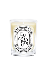 Diptyque Feuille de Lavande Classic Scented Candle, 190g