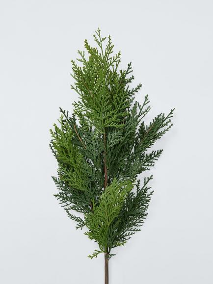 John Lewis Cypress Spray, Green - view 2, Green