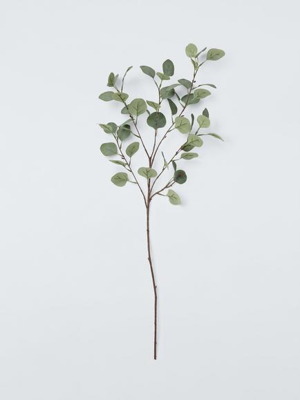 John Lewis Eucalyptus Stem, Green, Red