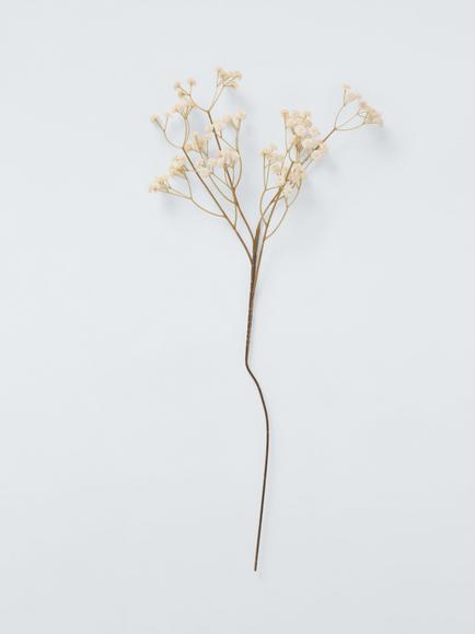 John Lewis Gypsophila Stem, White, White