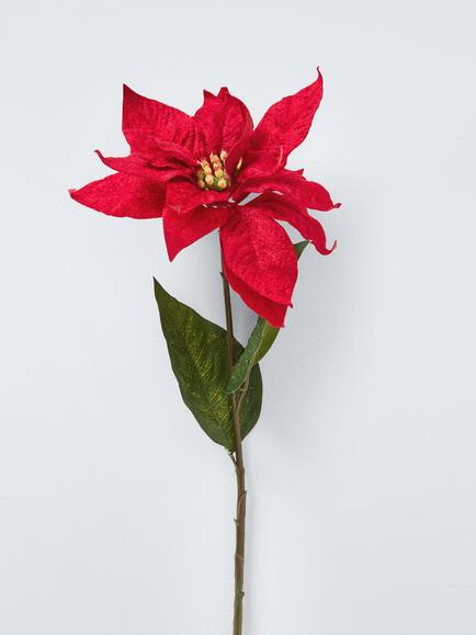 John Lewis Single Poinsettia Stem, Red - view 2, Green