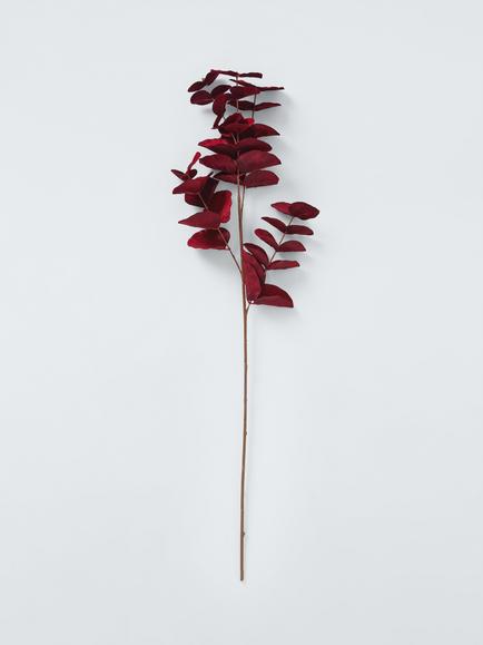 John Lewis Eucalyptus Stem, Red, Red