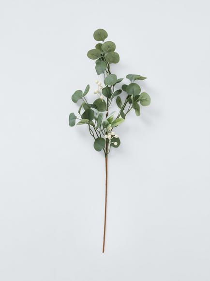 John Lewis Berry and Leaves Stem, White, Green