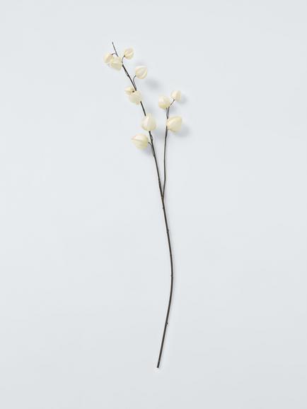 John Lewis Chinese Lantern Stem, White, White