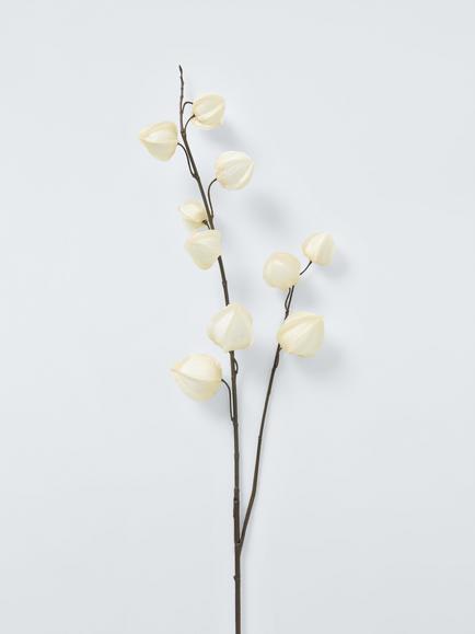 John Lewis Chinese Lantern Stem, White - view 2, White