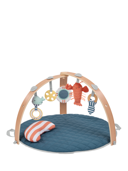 Ingenuity Cozy Spot Reversible Duvet Activity Gym, Harbor Haven, Harbor Haven