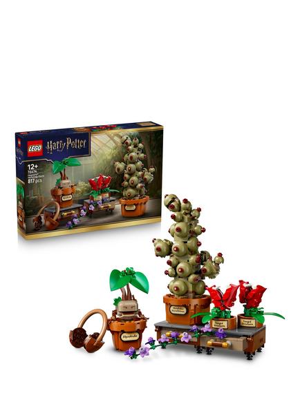 LEGO Harry Potter 76474 Hogwarts Herbology Plants Building Toy, Multi