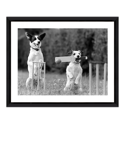 Brookpace Lascelles 'Cricket in the Park' Framed Photographic Print, 45 x 55cm, Black/White, Multi Multi
