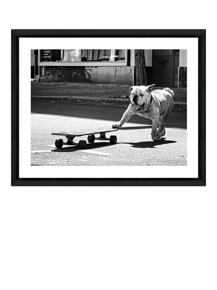 Brookpace Lascelles 'Park Life' Framed Photographic Print, 45 x 55cm, Black/White, Multi Multi