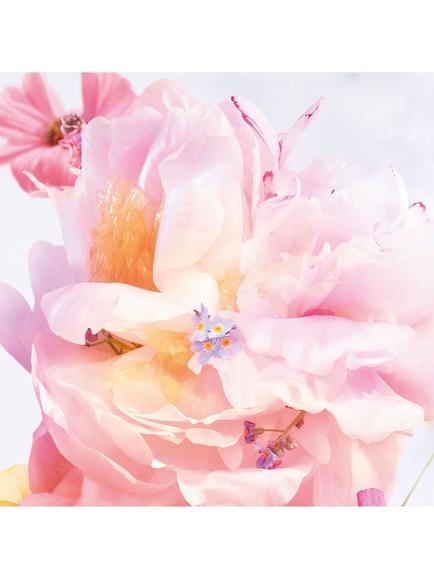 DIOR Miss Dior Blooming Bouquet Roller-Pearl, 20ml - view 2, 