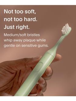 SURI Electric Toothbrush Heads, Set of 3, Winter Fern - view 2, Winter Fern