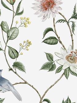 Graham & Brown Nuit Wallpaper, Lush, Multi